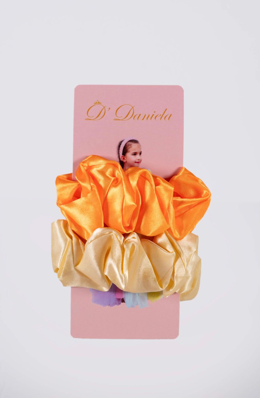 Aryana Silk Scrunchie Set of 2