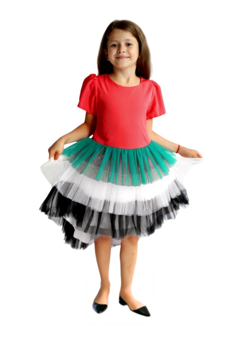 UAE National Day Flag Dress for Girls