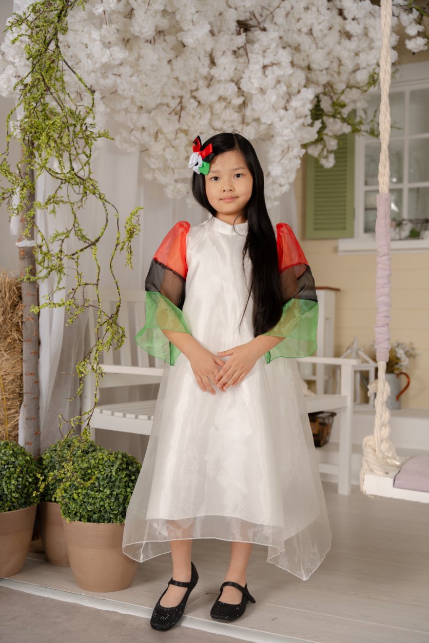 UAE Flag National Day Aaliyah Collection