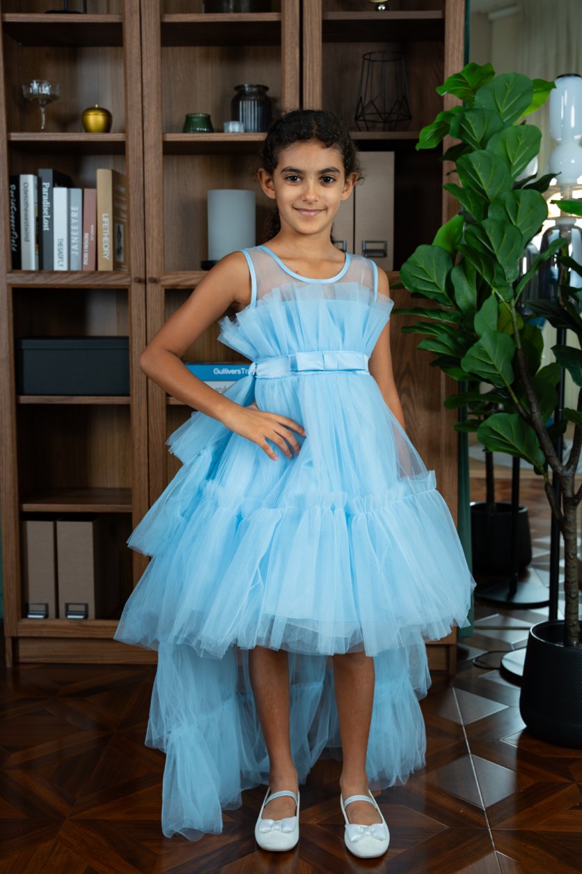 Bow Front Ruffle Hem Mesh Gown with Long Tail – D'Daniela, Dubai