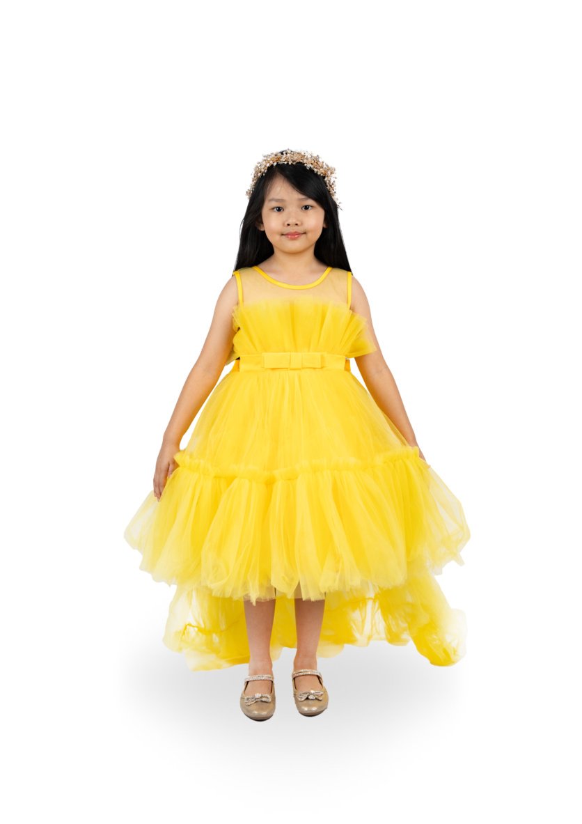 Bow Front Ruffle Hem Mesh Gown with Long Tail