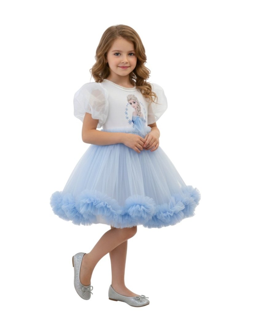 Elsa Twinkle Princess Tulle Dress Blue – Elsa Frozen dress for girls – D'Daniela