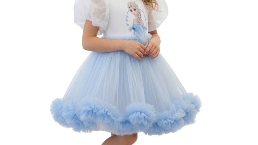 Elsa Twinkle Princess Tulle Dress Blue – Elsa Frozen dress for girls – D'Daniela