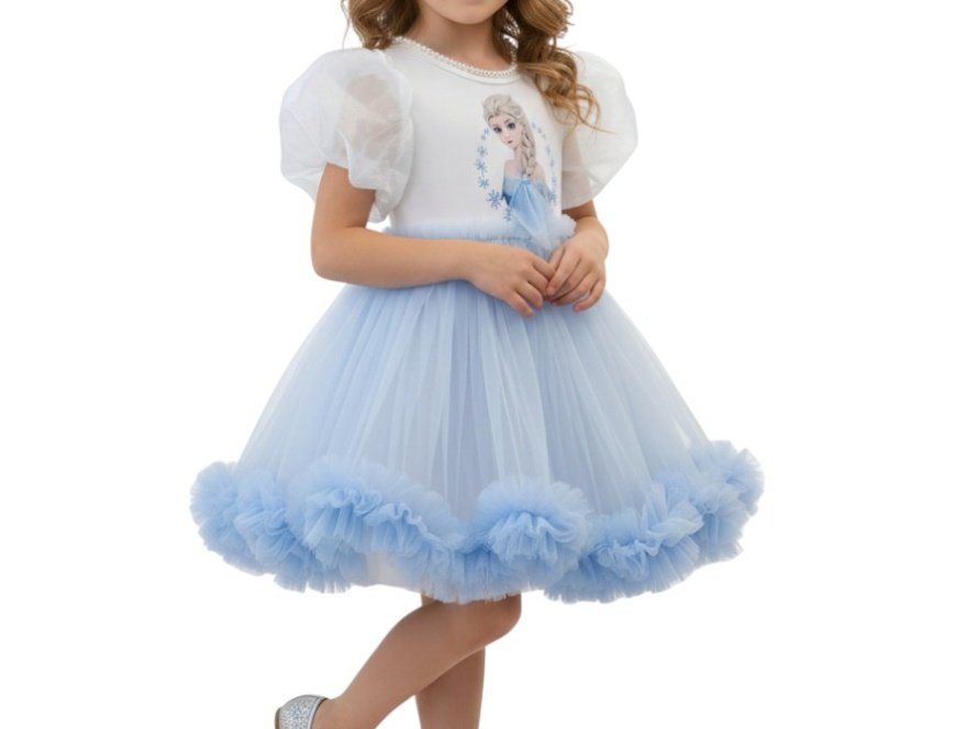Elsa Twinkle Princess Tulle Dress Blue – Elsa Frozen dress for girls – D'Daniela