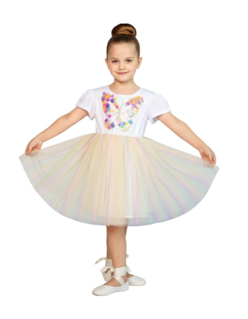 Butterfly Multi Color Dress – 1Y to 8Y