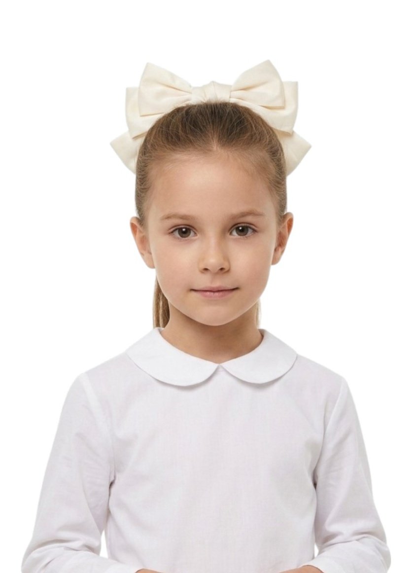 Big Bow Hair Clip