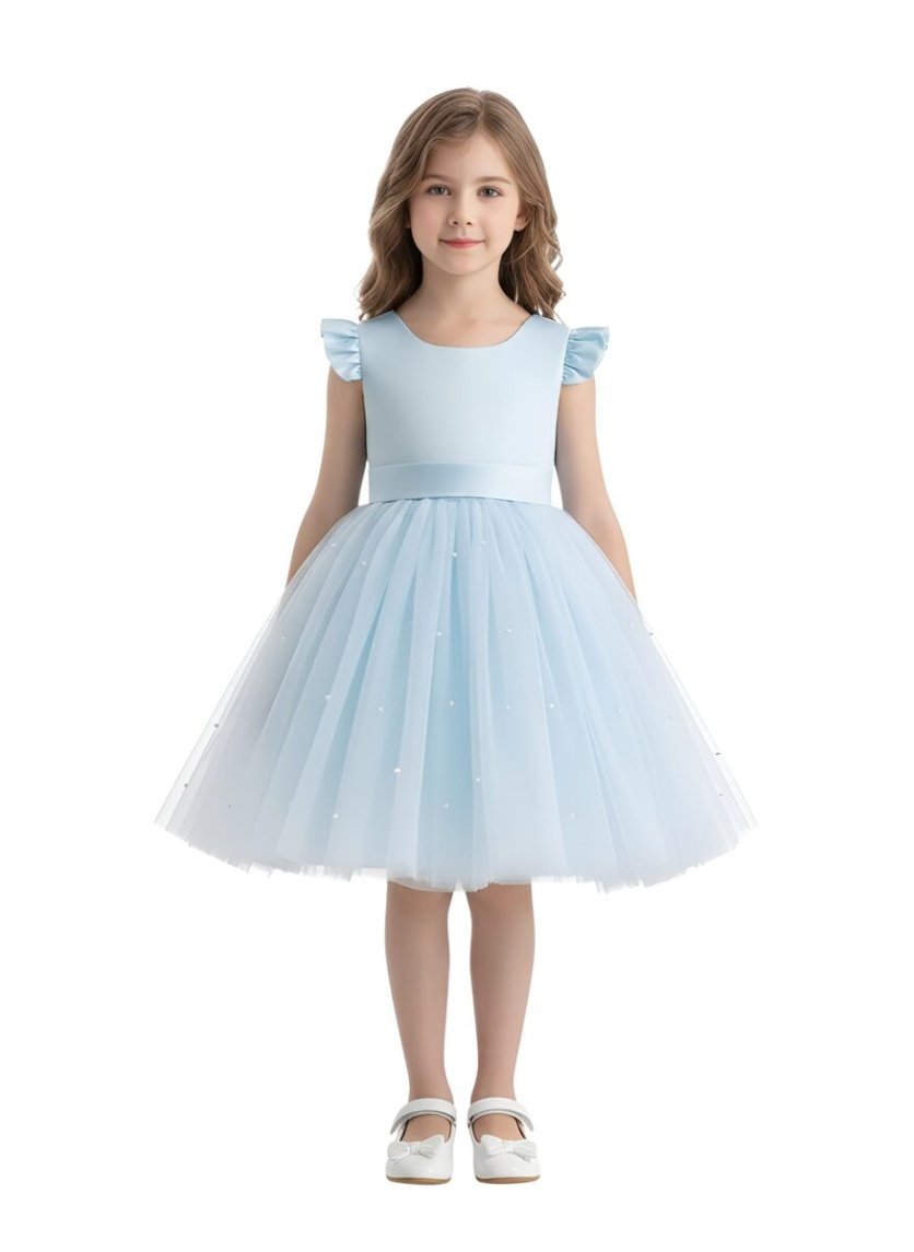 Anna Princess Dress Blue – Anna Frozen dress for girls – D'Daniela