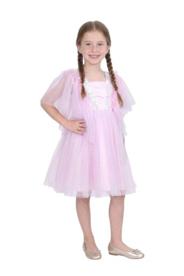 Dragonfly Dress with Sequins Baby Pink