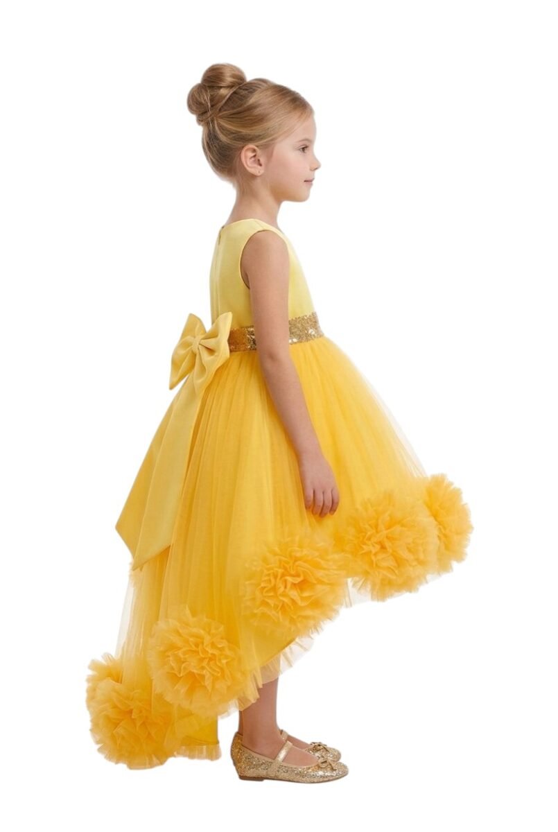 Layered Party Dresses Tutu Gown Dirty Yellow – photo 2