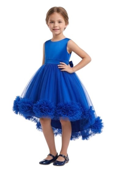 Layered Party Dresses Tutu Gown Royal Blue