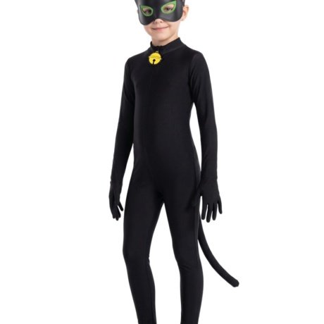 Catnoir Costume